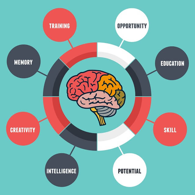 Cognitive development hotsell and language