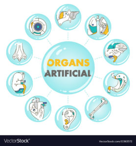 Organ Artificial