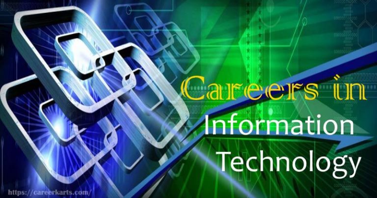 Career in IT, Information technology career