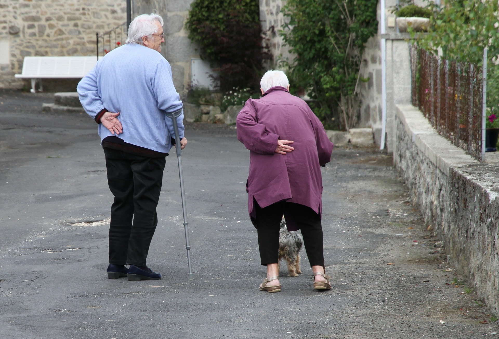 elderly man and woman walking on the road with a dog