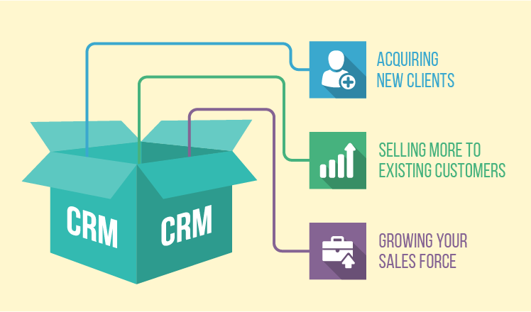 CRM. Content management system 